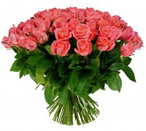 Bouquet of 75 coral roses